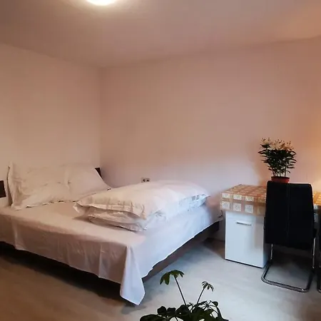 Appartement Rosen Garten Haus Titisee-Neustadt
