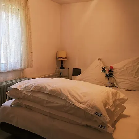 Daire Rosen Garten Haus Titisee-Neustadt