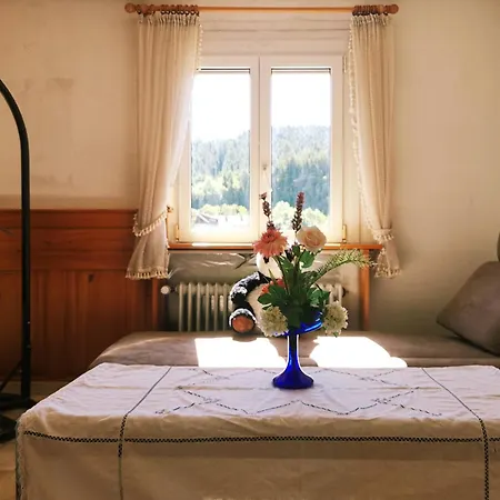 Daire Rosen Garten Haus Titisee-Neustadt