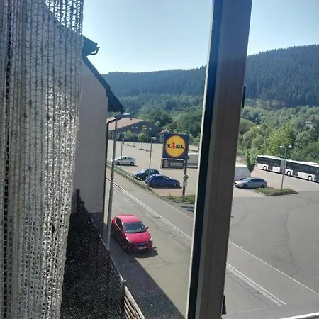 Rosen Garten Haus Appartement *