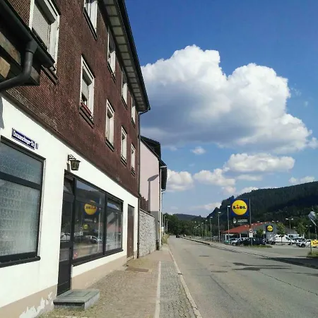 Rosen Garten Haus * Titisee-Neustadt
