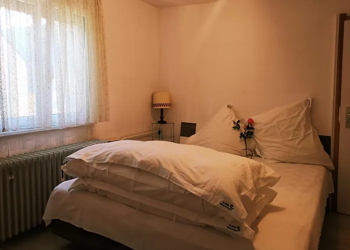 Apartamento Rosen Garten Haus Titisee-Neustadt